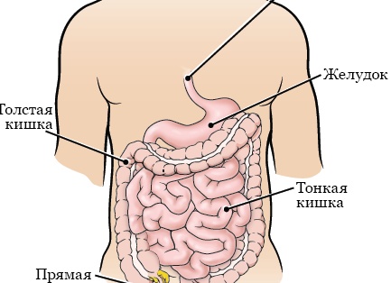 Липосакция: худеть самостоятельно или сделать операцию?
