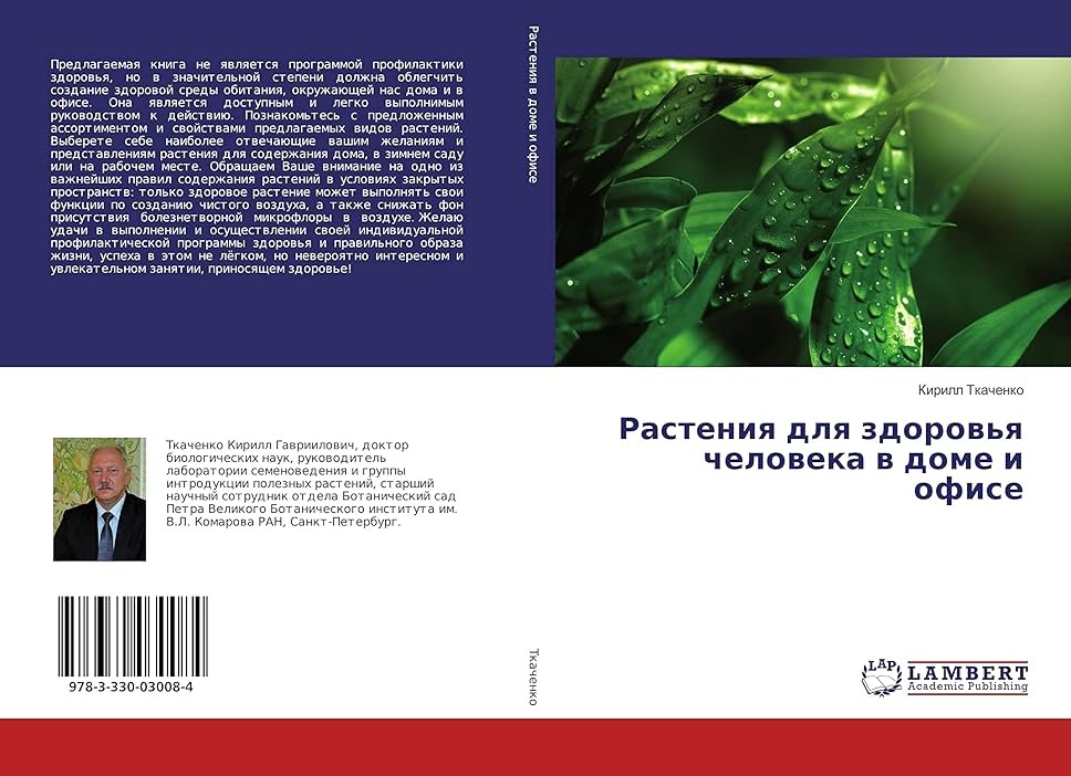 Почему дома и в офисе должны быть растения