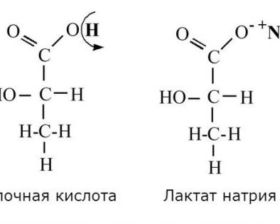 Молочная кислота — ваш друг, что бы ни говорил фитнес-тренер